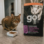 GO! Carnivore Kana, Kalkun + Part Kuivtoit Kassile ja Kassipojale 3,7kg – pilt 4