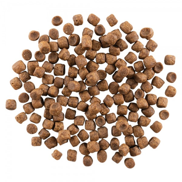 GO! Carnivore Kana, Kalkun + Part Kuivtoit Kassile ja Kassipojale 7,3kg – pilt 3