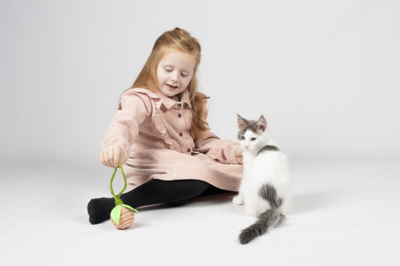 Flamingo Kassi Mänguasi "Roora" Jutest Pall 20x6,2x6,2cm – pilt 3