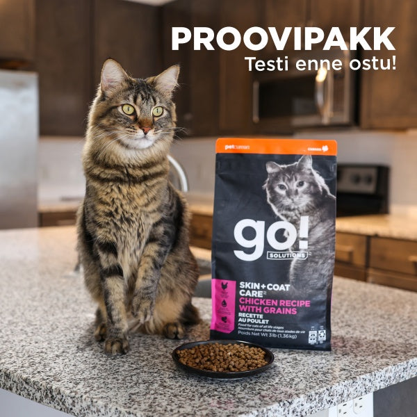 Go! Solutions Proovipakk Kassile