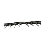 Dingo Kaetud Ogarihm Koerale, Profi 56-64cm x 2,5cm – pilt 2
