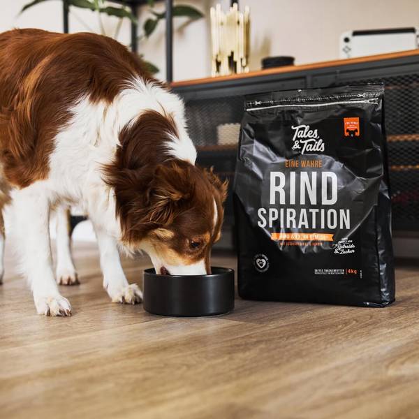 Tales and Tails Pehme Kuivtoit Täiskasvanud Koertele (70% Veiseliha) 100g – pilt 2