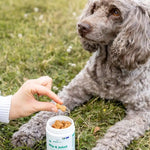 BuddyCare Hip & Joint Support - Närimistabletid Puusadele ja Liigestele 150g – pilt 2