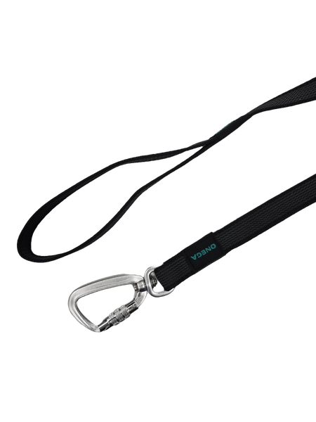 Onega Kummeeritud Jalutusrihm Koerale, Hall (Twist Lock) 20mm x 3m – pilt 2