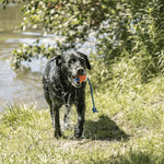 Sprenger / Liker Treeningpall Nööriga S 5cm (ujub vees) – pilt 3