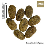 Enova Lifetime Ageing Kuivtoit Kanaga Seenior/Ülekaalulisele Koerale 2kg – pilt 2