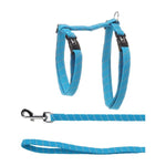 Flamingo Helkuriga Traksid Kassile 22-32cm + Jalutusrihm 110cm, Sinine