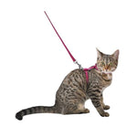 Bobby Traksid Kassile "Safe", Fuksia 25-38cm – pilt 2
