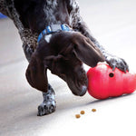 KONG Mänguasi Koerale Wobbler L 13x18cm – pilt 3