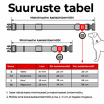 WAUDOG Nailonist Kaelarihm Koerale QR-passiga NASA21, 25mm x 33–49cm – pilt 4