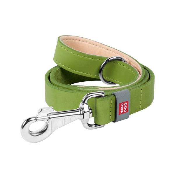 WAUDOG Classic Nahast Jalutusrihm Koerale, Roheline 20mm x 122cm