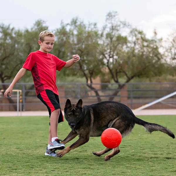 Attēla alternatīvais teksts