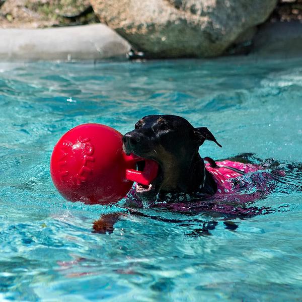 Jolly Pets Tug-n-Toss Mänguasi Koerale, Punane L 20cm (Ujub vees) – pilt 2