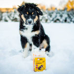 Excellent Pets Lõheõli Koerale 250 ml – pilt 2