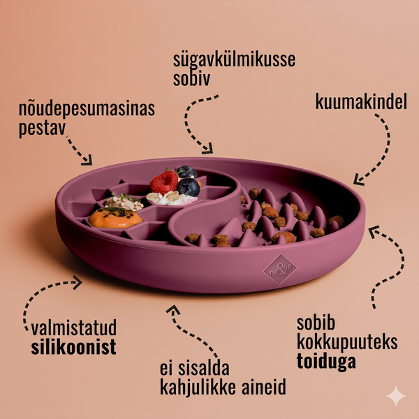ne&no® söömist aeglustav kauss / lakkumismatt kassidele & koertele | steel blue – pilt 4