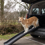 Flamingo Koera Kaldtee Autosse 156cm – pilt 3