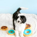 ZippyPaws Mänguasi Koerale - Mini Donutz, Šokolaad 13cm – pilt 2