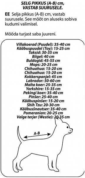 Attēla alternatīvais teksts