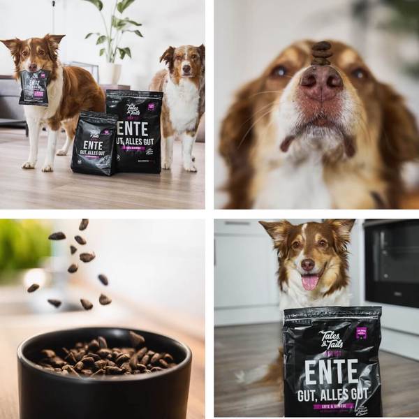 Tales and Tails Pehme Kuivtoit Täiskasvanud Koertele (70% Pardiliha) 100g – pilt 3