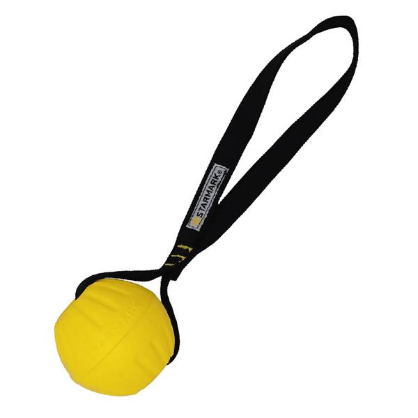 Starmark Mänguasi Koerale GripCord Durafoam Pall Aasaga M 65mm (Ujub vees)