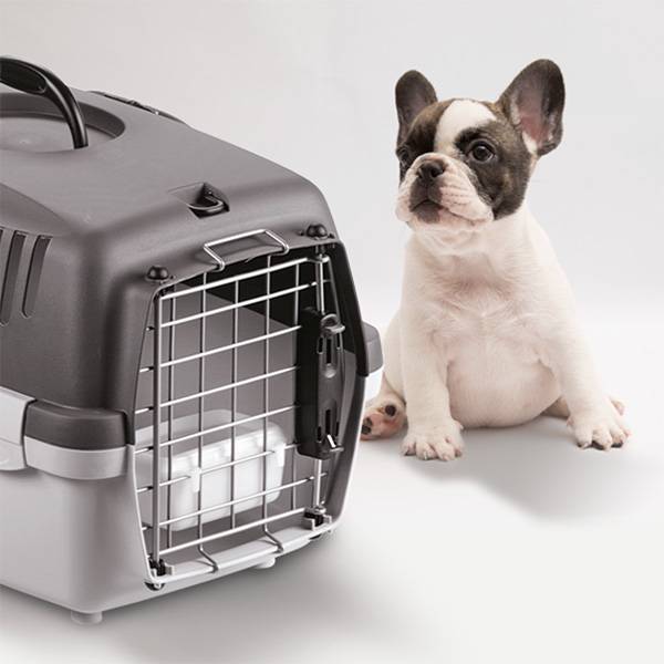 Gulliver 1 Delux Transpordipuur 48x32x31cm – pilt 3