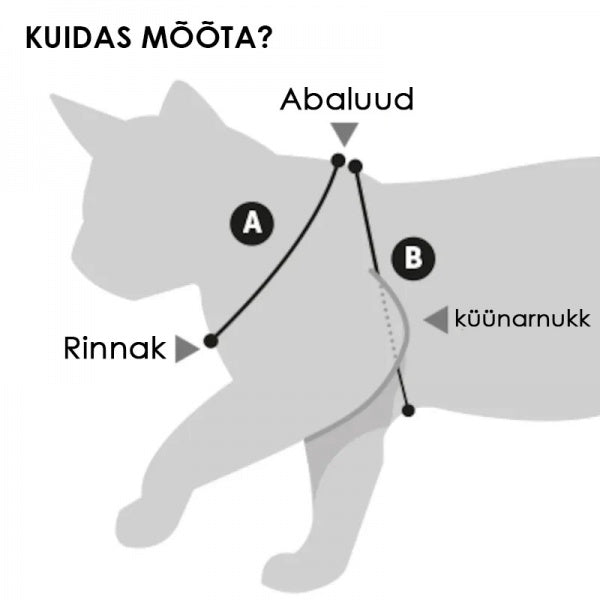 Flamingo Traksid Kassile Punane + Jalutusrihm – pilt 3