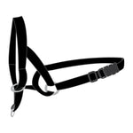 Flamingo Koera Koonurihm XL – pilt 2