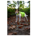 Flamingo Helkurvest M – pilt 3