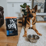 GO! Skin + Coat Kanalihaga Kuivtoit Koerale ja Kutsikale 11,4kg – pilt 5